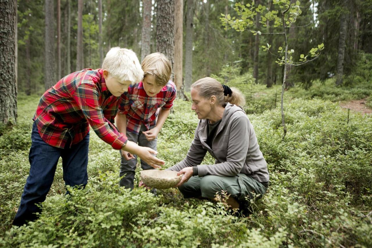 Stf Kolarbyn Eco-Lodge Skinnskatteberg Exteriér fotografie